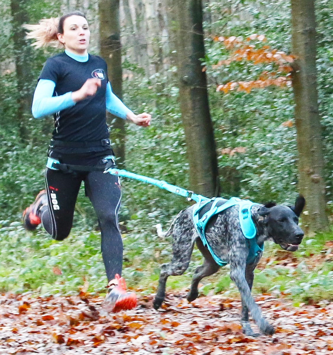 i-Dog vetonaru ALM OPALE