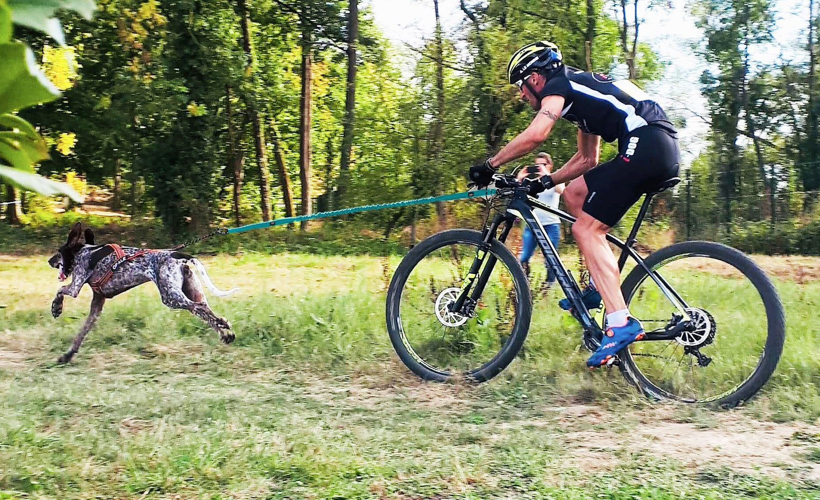 i-Dog vetonaru ALM OPALE