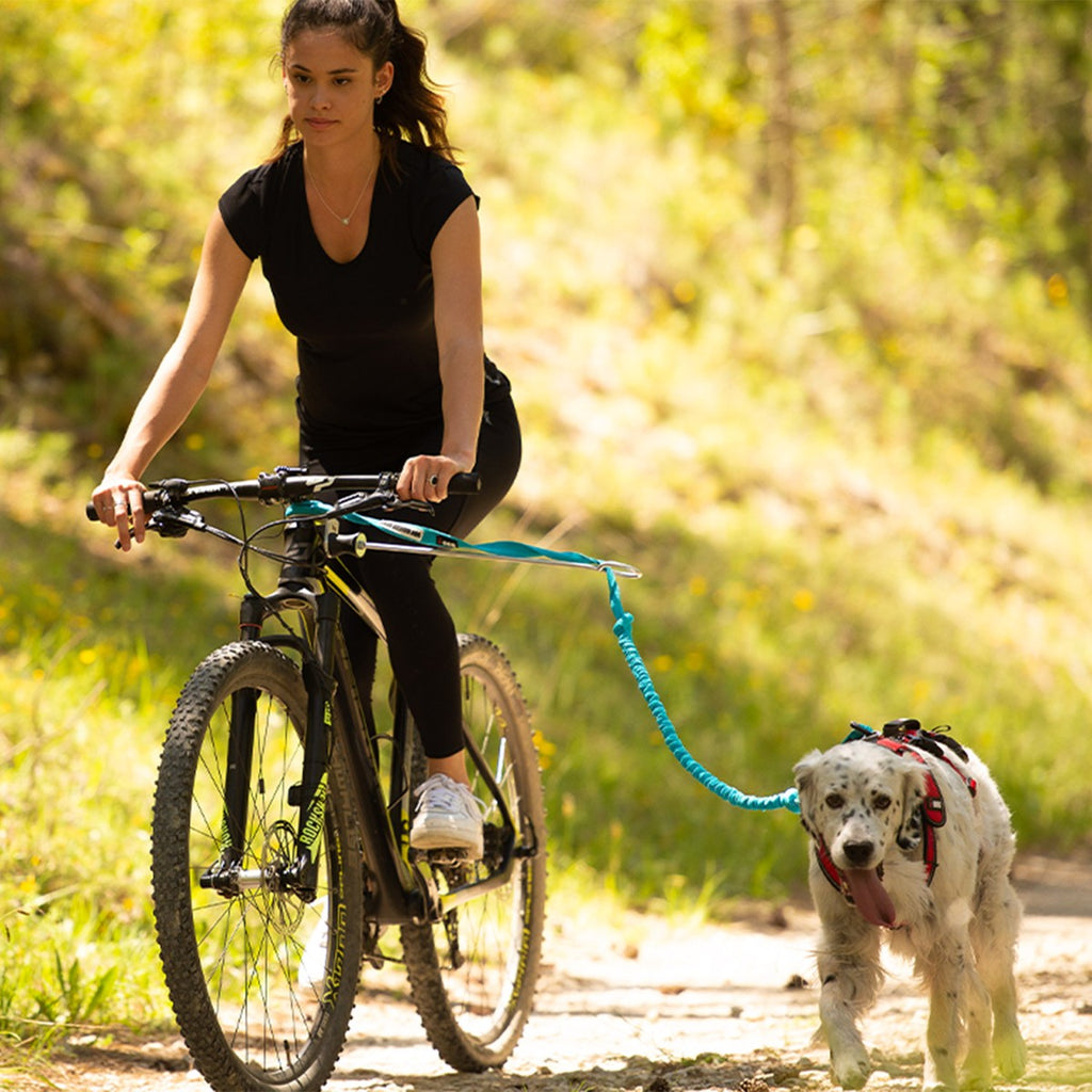 i-Dog Bikejöring Antenna ALM Link