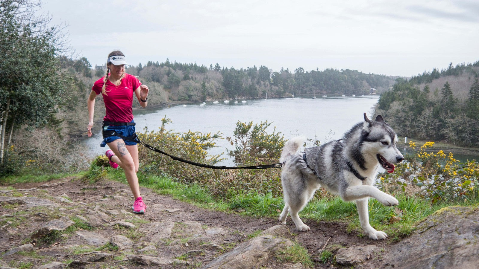 i-DOG vetonaru Canicross RAIDLIGHT