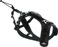 i-DOG Canicross RAIDLIGHT -vetovaljaat