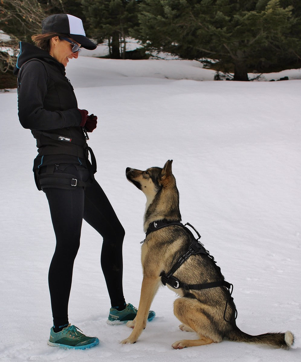 i-DOG Canicross RAIDLIGHT -vetovaljaat