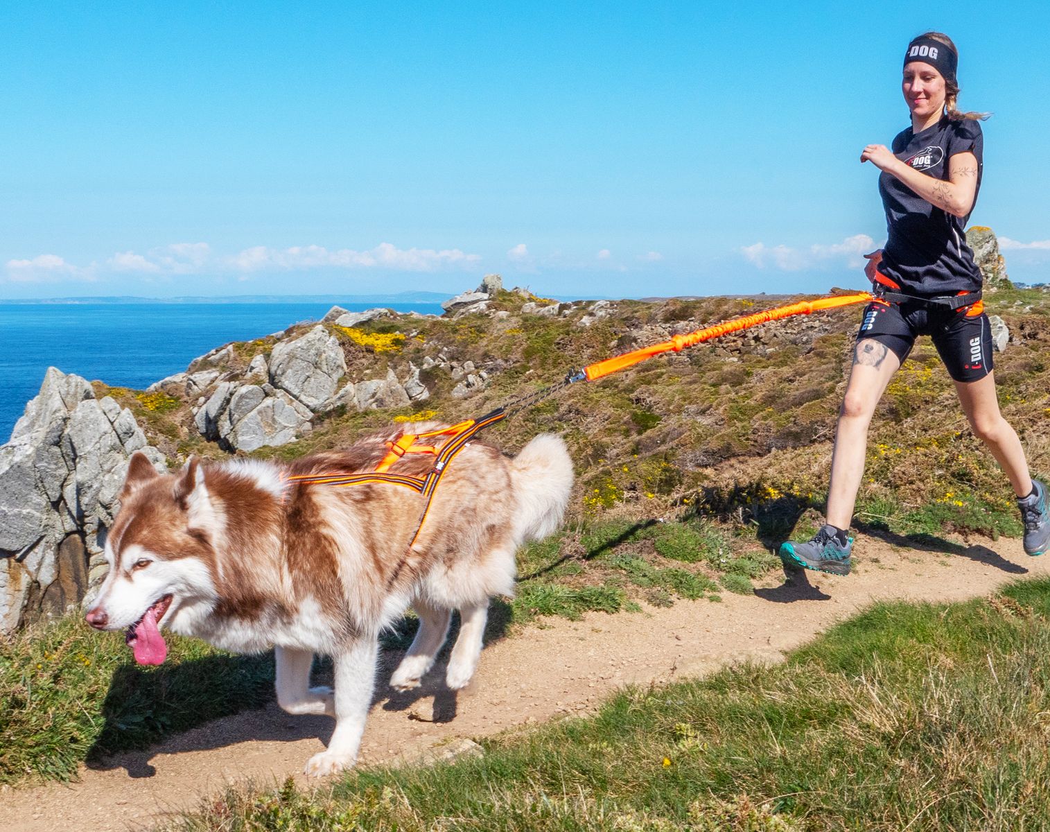 i-DOG vetonaru Canicross ONE